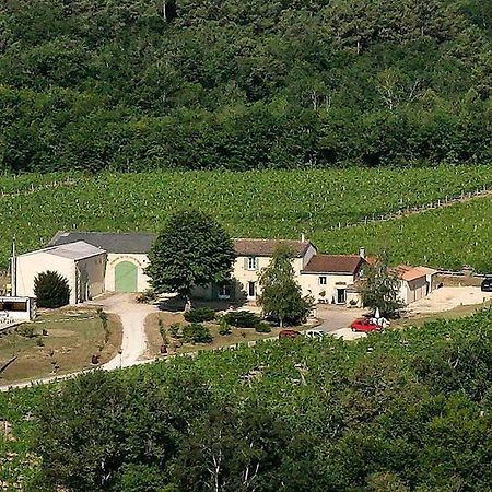 Domaine De Grand Homme 호텔 보르도 외부 사진