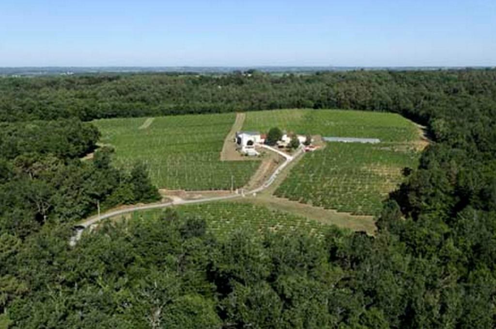Domaine De Grand Homme 호텔 보르도 외부 사진